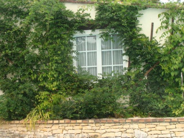 Le Guinguetton Chambre D'Hotes Prigonrieux エクステリア 写真